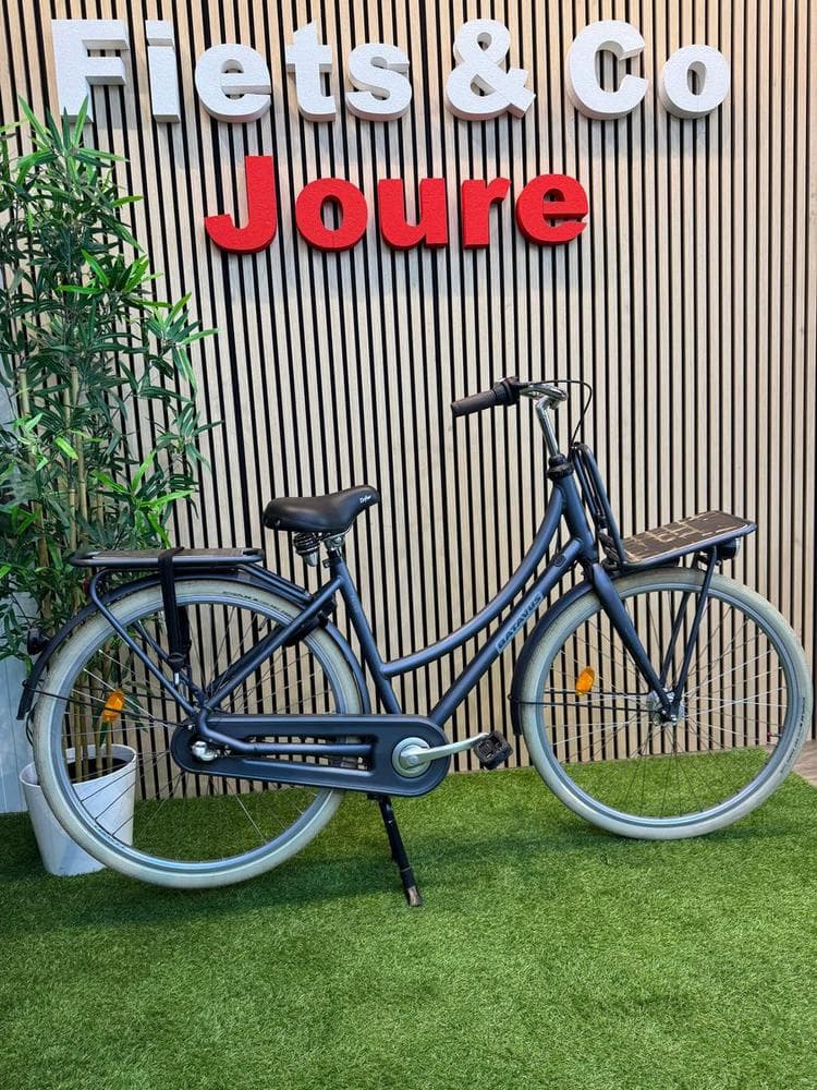 Batavus Packd (49cm)