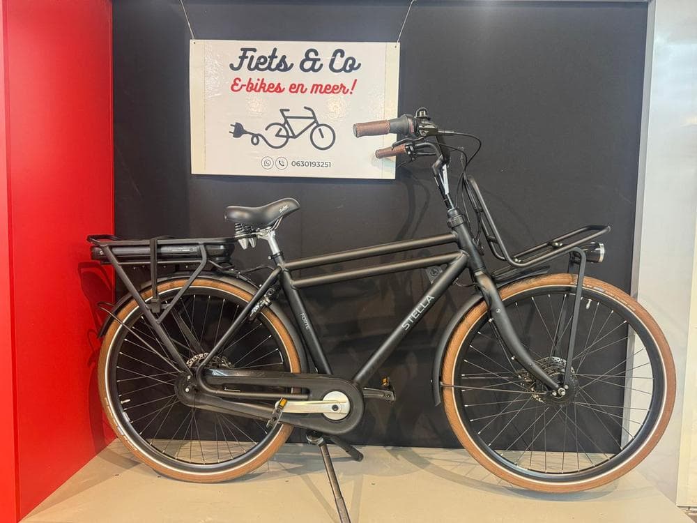 Stella Forte FDST, foto 1
