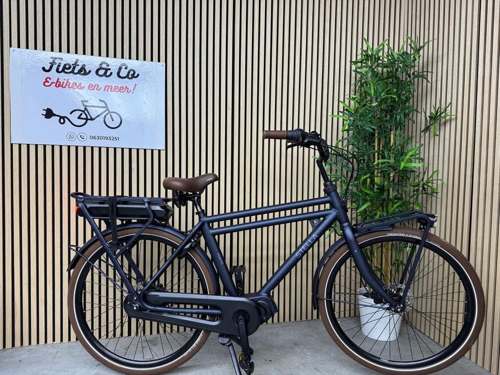 Stella Forte MDS Premium, foto 1