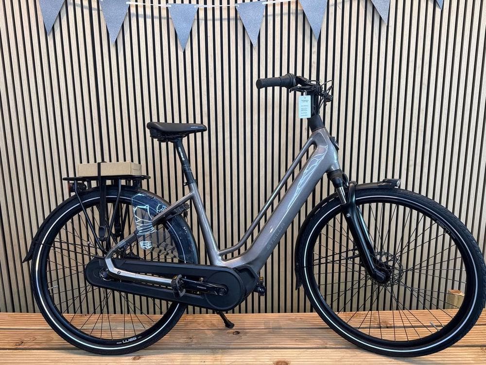 Stella Vicenza MDS 2024 (300km), foto 1